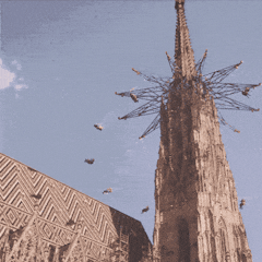 How to land a developer job in Vienna